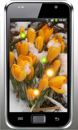 Snowdrop Spring live wallpaper截图3