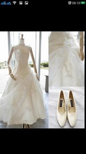 Maternity Wedding Dresses截图8