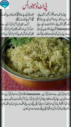 Rice Recipes In Urdu截图2