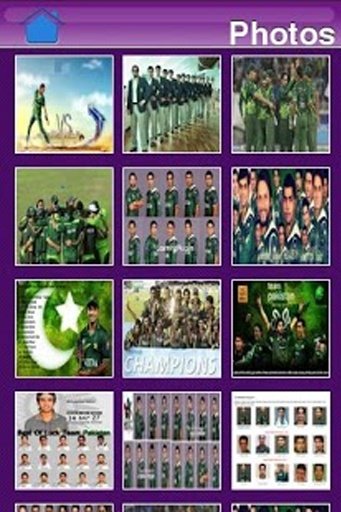 Pak Cricket T20截图3