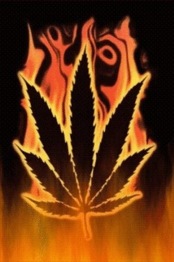 Blazing Weed Live wallpaper截图1