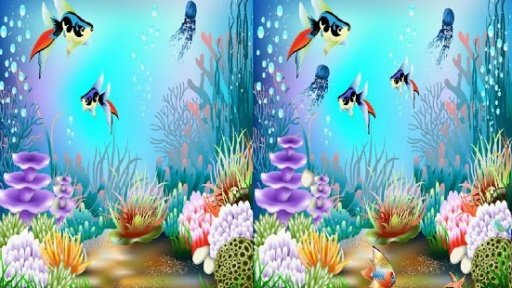 fish find the difference截图3