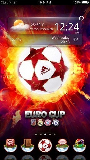 euro cup截图3