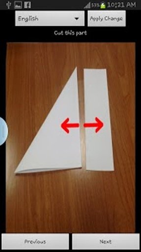 Paper made Flying Bird截图1