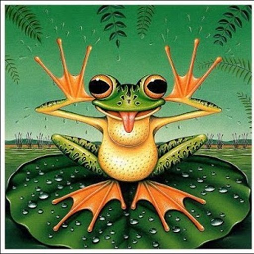 Frogs jigsaw puzzles截图5