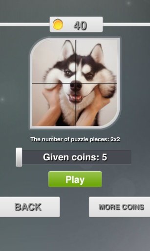 Candy Pet Sliding Puzzle截图2