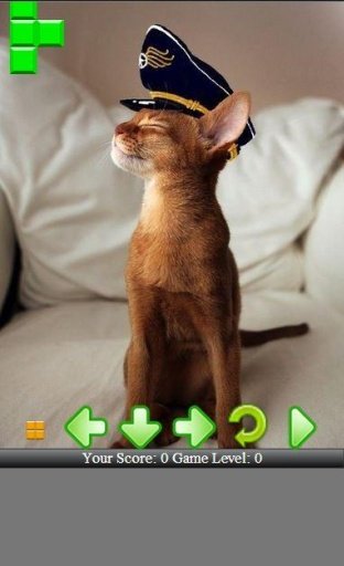 Tom the Chatty Cat截图7