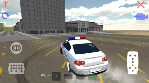 Police Car Driver 3D截图3