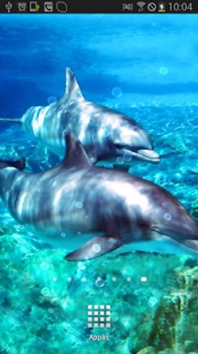 Dolphins with Bubbles LWP截图5