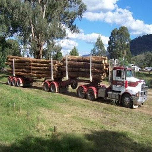 Australia Truck Simulator截图6