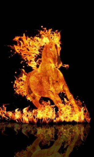 Fire Horse 3D Live Wallpaper截图9