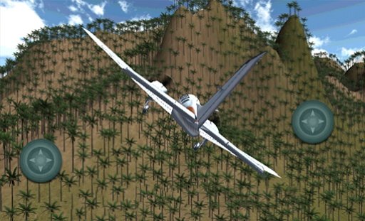 3D Flight Sim截图6