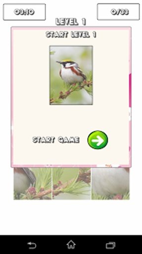 Cute Birds Puzzle Game截图2