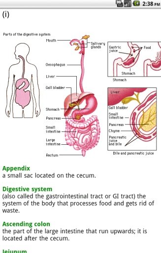 Human Digestive System截图1