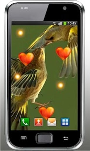 Valentine Birds live wallpaper截图10