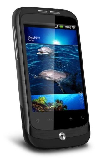 Dolphin Cup 3D Live Wallpaper截图4