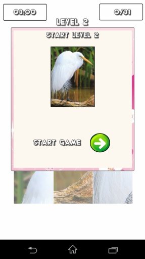 Cute Birds Puzzle Game截图1