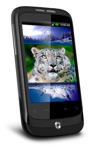 Snow Leopard HD Live Wallpaper截图3