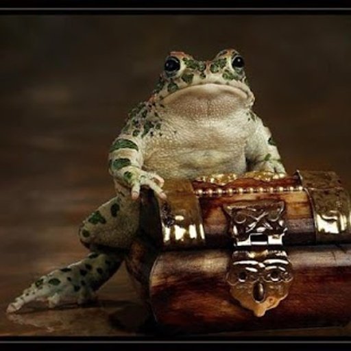 Frogs jigsaw puzzles截图2