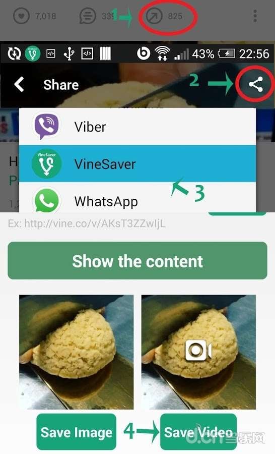 Vine视频保存工具VineSaver截图4