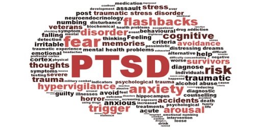 Post_Traumatic_Stress_Disorder截图2