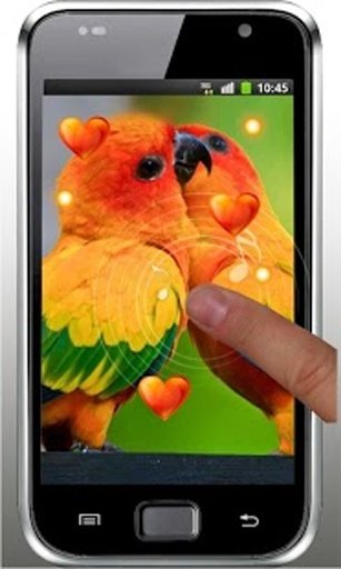 Valentine Birds live wallpaper截图2