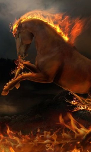 Fire Horse 3D Live Wallpaper截图1