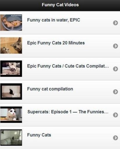 Funny Cat Videos截图2