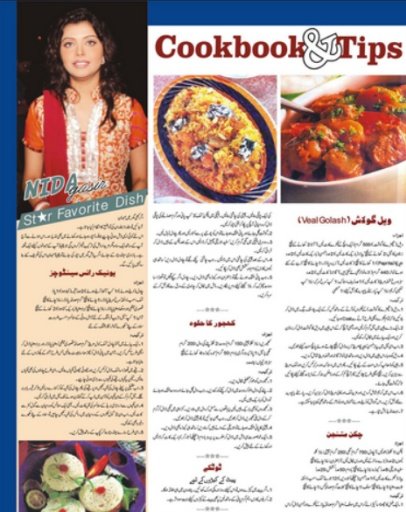 Urdu Recipes Pakistani截图5