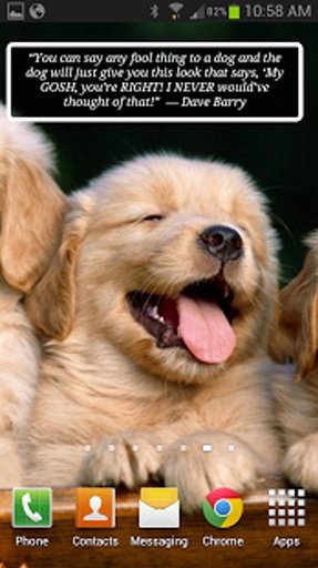 Puppies &amp; Dogs Cute Wallpaper截图1