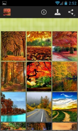 Autumn Wallpapers截图2