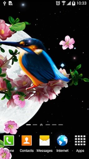 Sakura and Bird Live Wallpaper截图6