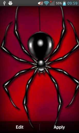 Spider Live Wallpaper截图2