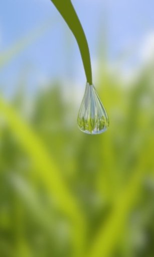 Water Drops Free截图4