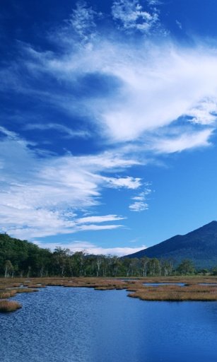 Blue Sky Live Wallpaper截图7