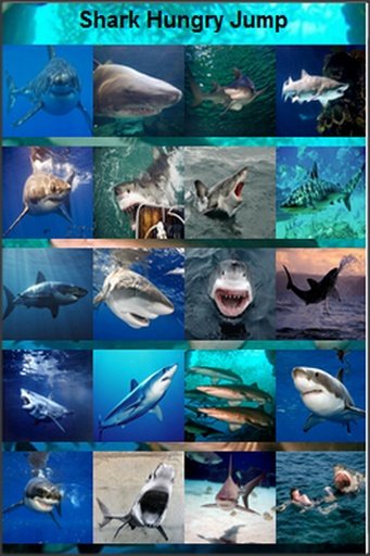 Shark Hungry截图2