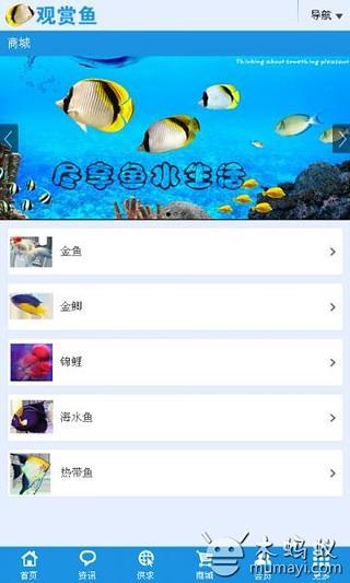 观赏鱼截图2