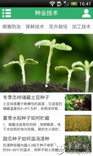 种业产业网截图3