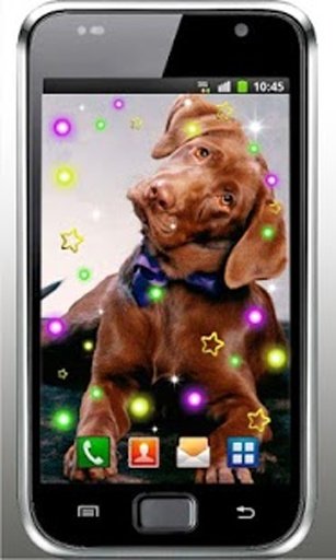 Friendly Dog live wallpaper截图6