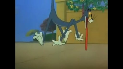 Tom & Jerry Videos截图6