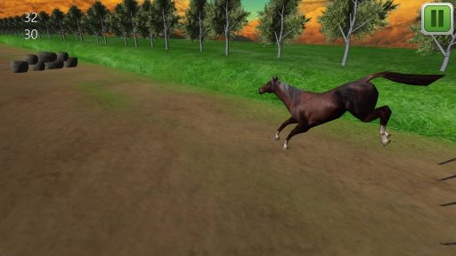 Horse Jumping 3D截图2