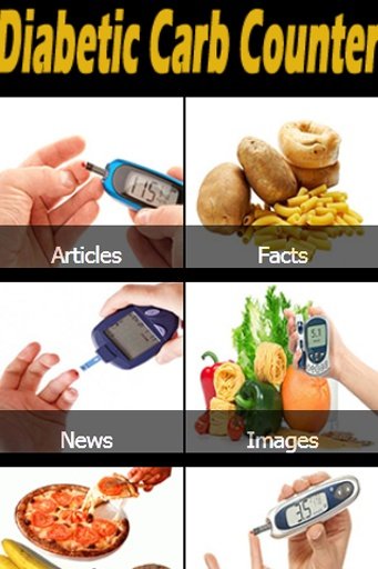 Diabetic Carb Counter截图2