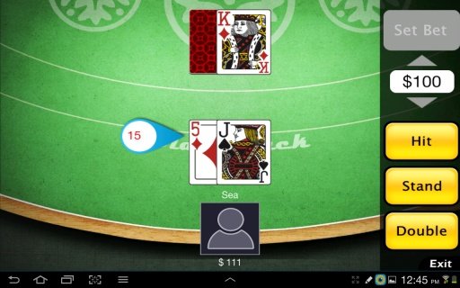 Double Down Casino截图4