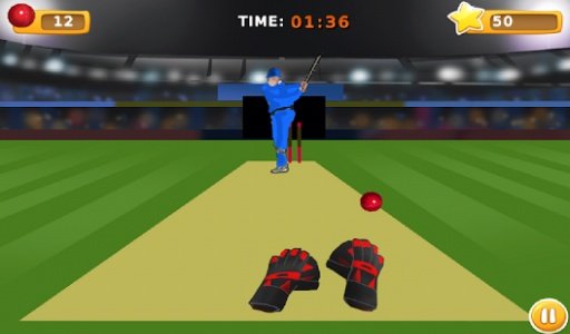 TapCatch Cricket 2截图3