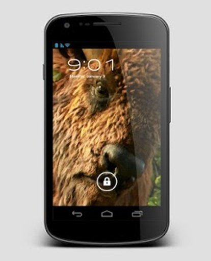 Forest Animals Beaver LiveWP截图3