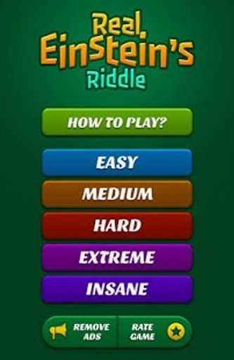 Real Einstein Riddle截图1