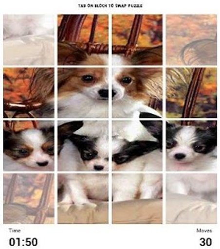 Puppy Dog Puzzle截图3