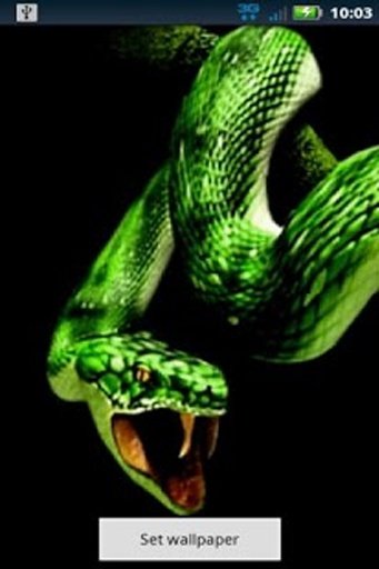 Snake Attack Live Wallpaper截图1