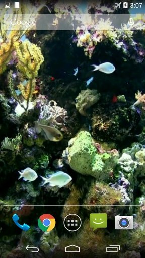 Natural Aquarium Wallpaper截图1