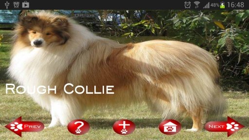 About Dog Breeds (Free)截图1